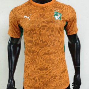 Camiseta Costa de Marfil 2026-2027 Concepto Naranja Versión Jugador