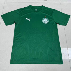 Camiseta Palmeiras 2025 2026 Primera Versión Aficionado