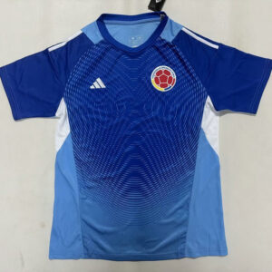 Camiseta Colombia 2025-2026 Portero azul